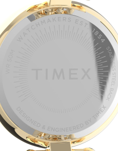 Ceas de mana Timex® Asheville TW2V02500, 004, bb-shop.ro